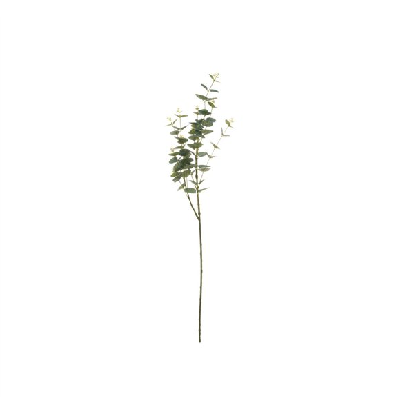 4Living Eucalyptus branch 92 cm