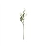 4Living Eucalyptus branch 92 cm