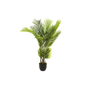 4Living Palm tree 140 cm