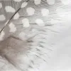 Наволочка HappyFriday Light Разноцветный 45 x 110 cm (2 штук)