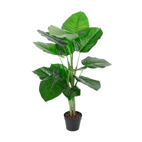 Green plant POTHOS H90cm