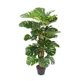 Green plant MONSTERA H105cm