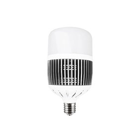 LedStar 100W LED bulb - 2700K