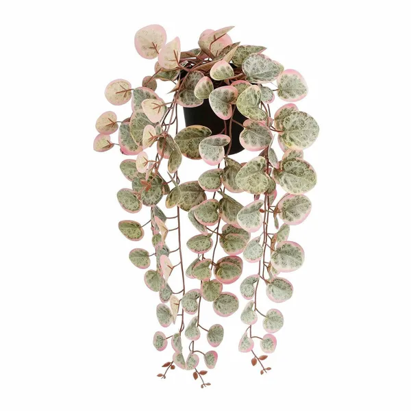 Dekoratīvs Augs Mica Decorations Ceropegia Woodii 10 x 46 x 12 cm Mākslīgs Pakarināšanai