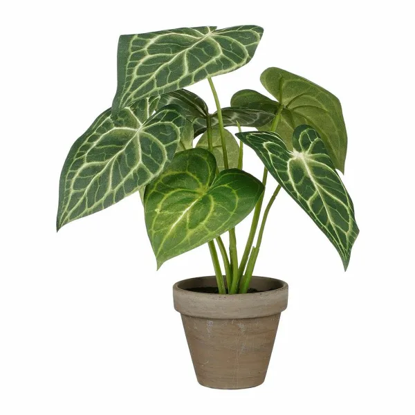 Декоративное растение Mica Decorations Caladium Ø 21 x 28 cm Искусственная