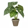 Декоративное растение Mica Decorations Caladium Ø 21 x 28 cm Искусственная