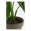 Декоративное растение Mica Decorations Caladium Ø 21 x 28 cm Искусственная
