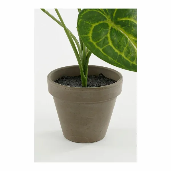 Декоративное растение Mica Decorations Caladium Ø 21 x 28 cm Искусственная