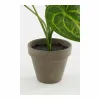 Декоративное растение Mica Decorations Caladium Ø 21 x 28 cm Искусственная