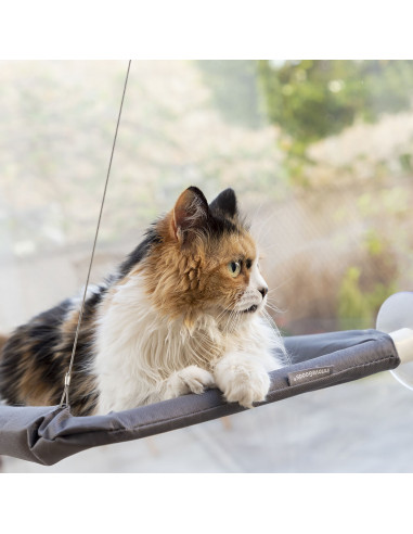 Hanging Cat Hammock Catlax InnovaGoods