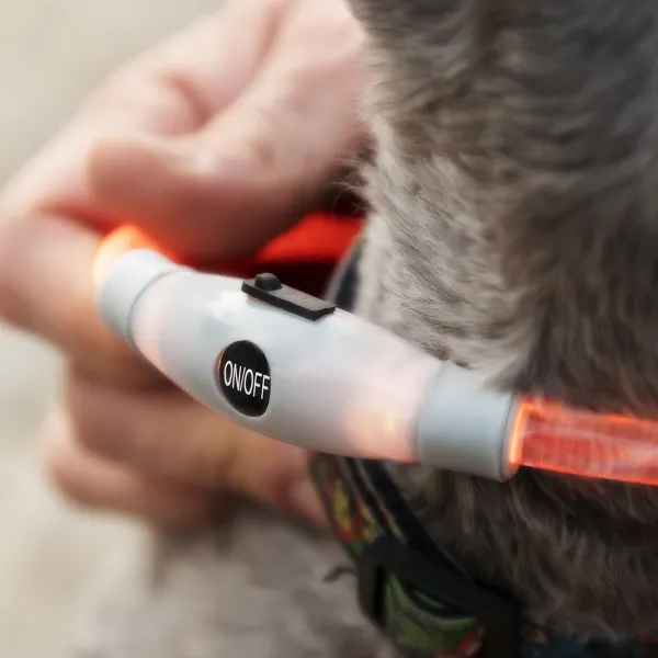 LED Collar for Pets Petlux InnovaGoods