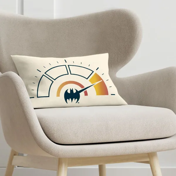 Чехол для подушки Batman Batechnology C Разноцветный 30 x 50 cm