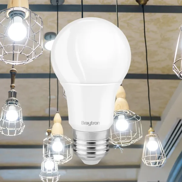 BRY-ADVANCE-9W-E27-A60-6500K-LED BULB