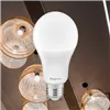 BRY-ADVANCE-13W-E27-A60-6500K-LED BULB