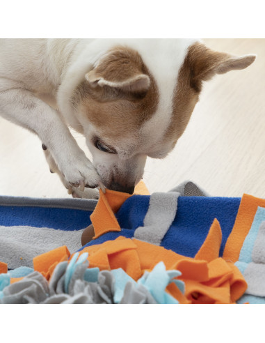 Sniffing Mat for Pets Fooland InnovaGoods