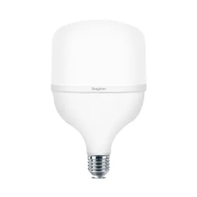 BRY-PREMIUM-18W-E27-T80-3000K-LED BULB