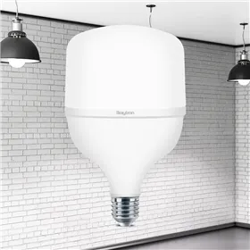 BRY-PREMIUM-18W-E27-T80-4000K-LED BULB