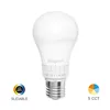 BRY-PREMIUM-13,5W-E27-A65-5IN1-LED BULB