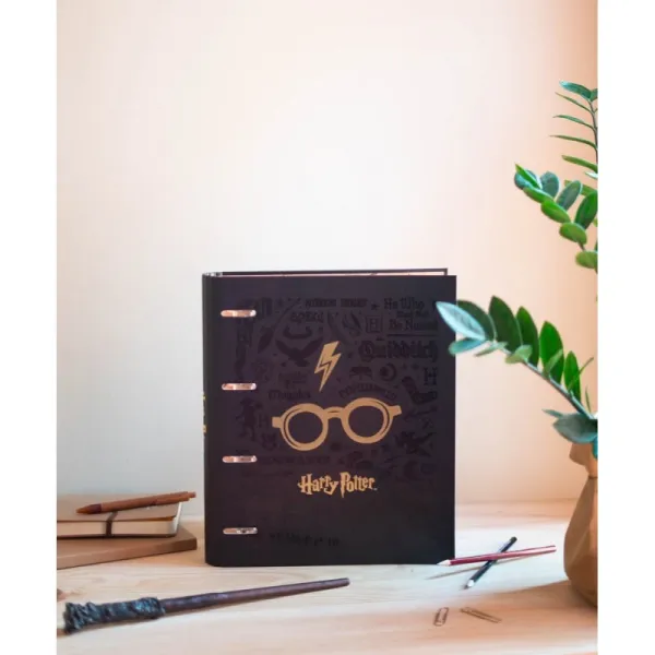 Harry Potter - A4 binder (4 rings, elastic)
