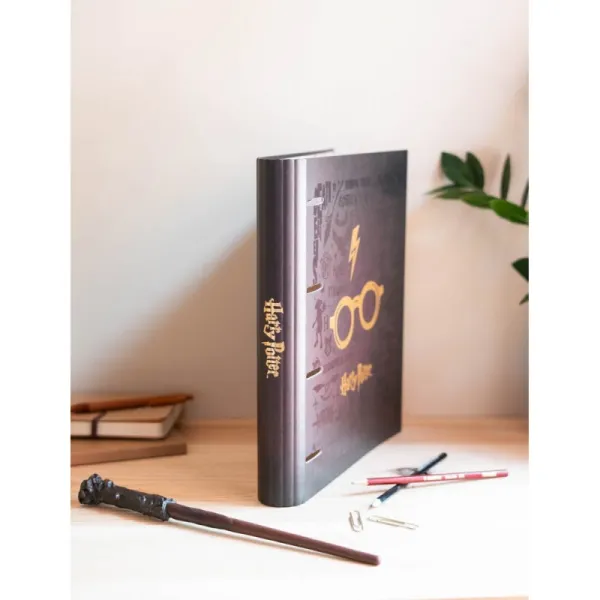 Harry Potter - A4 binder (4 rings, elastic)
