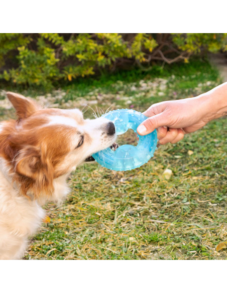 2-in-1 Freezable Pet Chew Toy Glubiz InnovaGoods