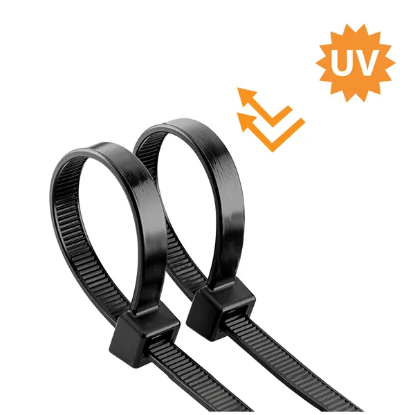 BRY-2,5x100mm-100pcs/bag-PA66-BLC-CABLE TIES