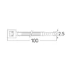 BRY-2,5x100mm-100pcs/bag-PA66-BLC-CABLE TIES