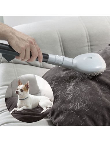 Vacuum Cleaner Brush Smoovah InnovaGoods