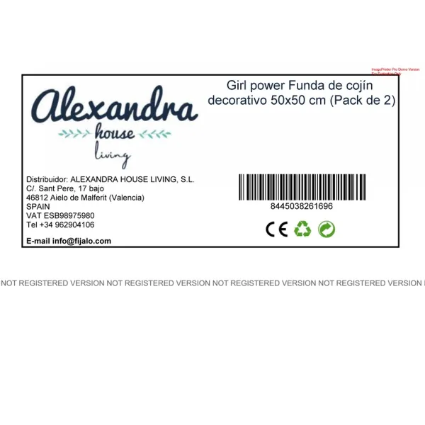 Pagalvėlės užvalkalas HappyFriday Aware Girl power Spalvotas 50 x 50 cm 2 Dalys
