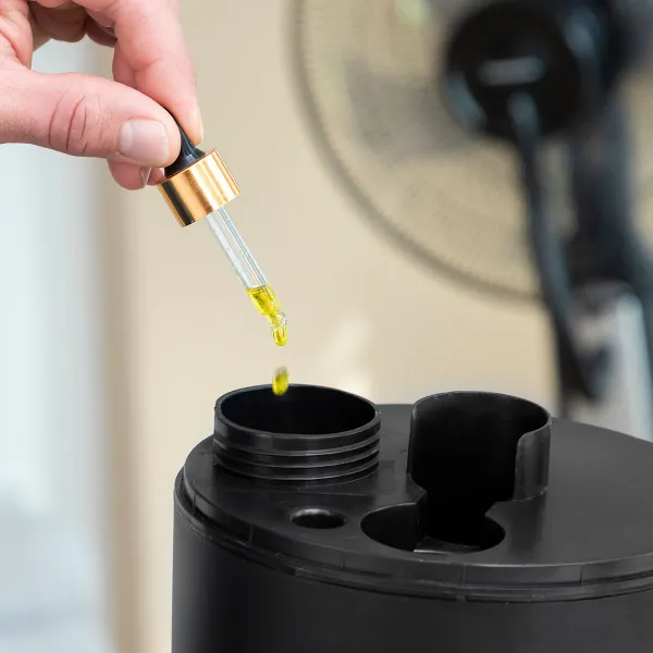 Nebuliser Pedestal Fan with Remote Control InnovaGoods Mistinn Black 90 W 2,8 L