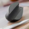 Compact Knife Sharpener Knedhger InnovaGoods