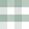 Dėmėms atspari staltiesė Belum 0120-104 Žalia Spalvotas 200 x 150 cm Rėmeliai