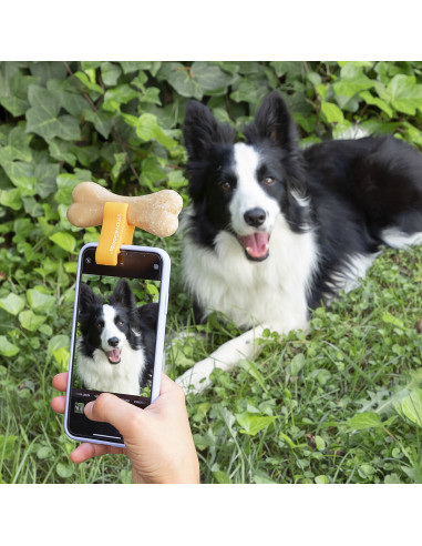 Selfie Clip for Pets Pefie InnovaGoods