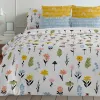Ziemeļu pārvalks Decolores Arona Daudzkrāsains 175 Vītnes buklets 200 x 200 cm