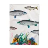 Кухонное полотенце HappyFriday Fish Разноцветный 70 x 50 cm (2 штук)