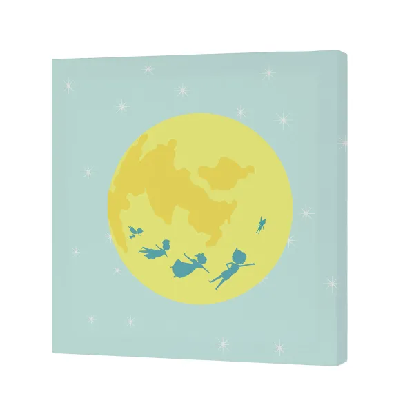 Полотно HappyFriday Mr Box Flying boy  Разноцветный 27 x 27 cm