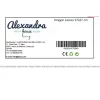 Canvas HappyFriday Baleno Teen Dragon Daudzkrāsains 27 x 27 cm