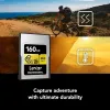 SD Memory Card Lexar LCAGOLD080G-RNENG