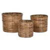 stādītāju komplekts Home ESPRIT Brūns Metāls Rotangpalma Tropiskais 31 x 31 x 27 cm
