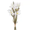 Decorative Flowers Balts Zaļš 37 x 20 x 41 cm Magnolia