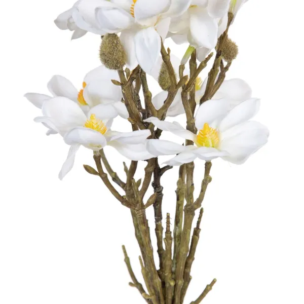 Dekoratyvinės gėlės Balta Žalia 37 x 20 x 41 cm Magnolia