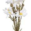Decorative Flowers Balts Zaļš 37 x 20 x 41 cm Magnolia