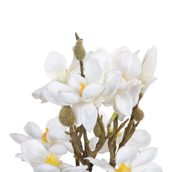 Koristekukat Valkoinen Vihreä 37 x 20 x 41 cm Magnolia