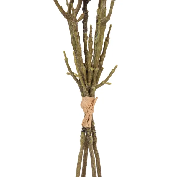 Decorative Flowers White Green 37 x 20 x 41 cm Magnolia