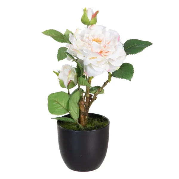 Koristekasvi Polyesteri Polyetyleeni Rauta Pinkki 16 x 16 x 31 cm