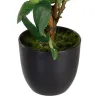 Koristekasvi Polyesteri Polyetyleeni Rauta Pinkki 16 x 16 x 31 cm