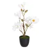 Decorative Plant Polyester Polyethylene Iron 25 x 25 x 49 cm Magnolia