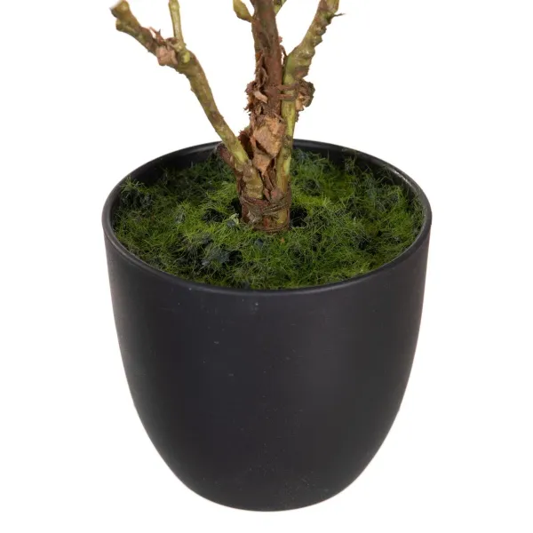 Koristekasvi Polyesteri Polyetyleeni Rauta 25 x 25 x 49 cm Magnolia