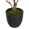 Decorative Plant Polyester Polyethylene Iron 25 x 25 x 49 cm Magnolia