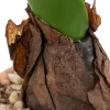 Dekoratyvinis augalas Poliesteris Polietilenas Geležis Melaminas 9,5 x 9,5 x 29 cm